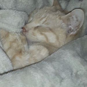 Meet your Posher, Bethany